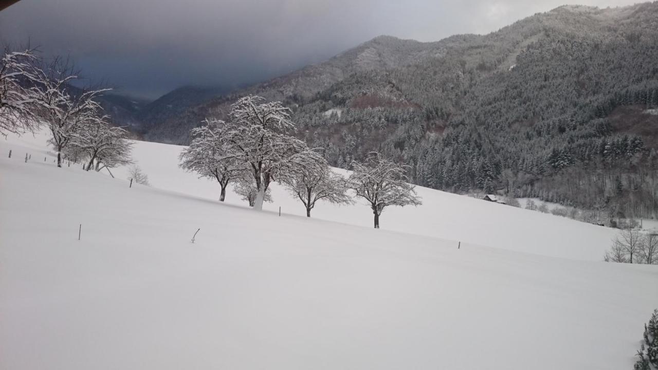Wehrlemartinshof Διαμέρισμα Simonswald Εξωτερικό φωτογραφία